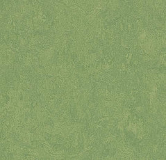 Линолеум Forbo Marmoleum Decibel on Order 326035 leaf фото 1 | FLOORDEALER